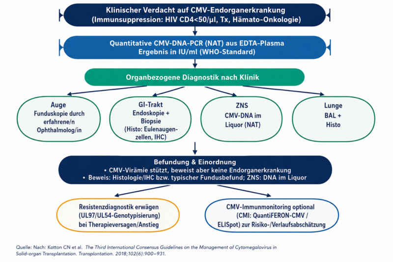 Datei:Diagnostische Schritte 1785505336459.png